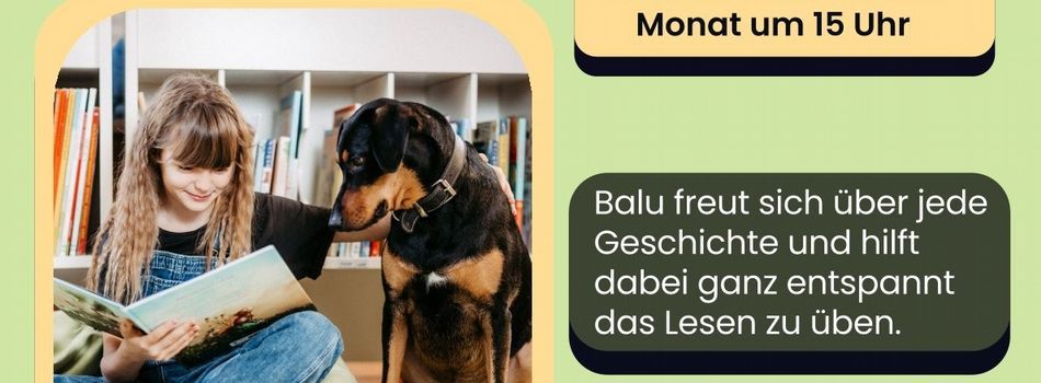 <div class=slidertitel>Lesen mit Hund</div><div class=slidertext>Jeden 1. Mittwoch im Monat: Lesestunden mit Lesehund Balu - Mehr Infos unter Aktuelles</div>