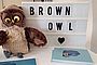 Brown Owl